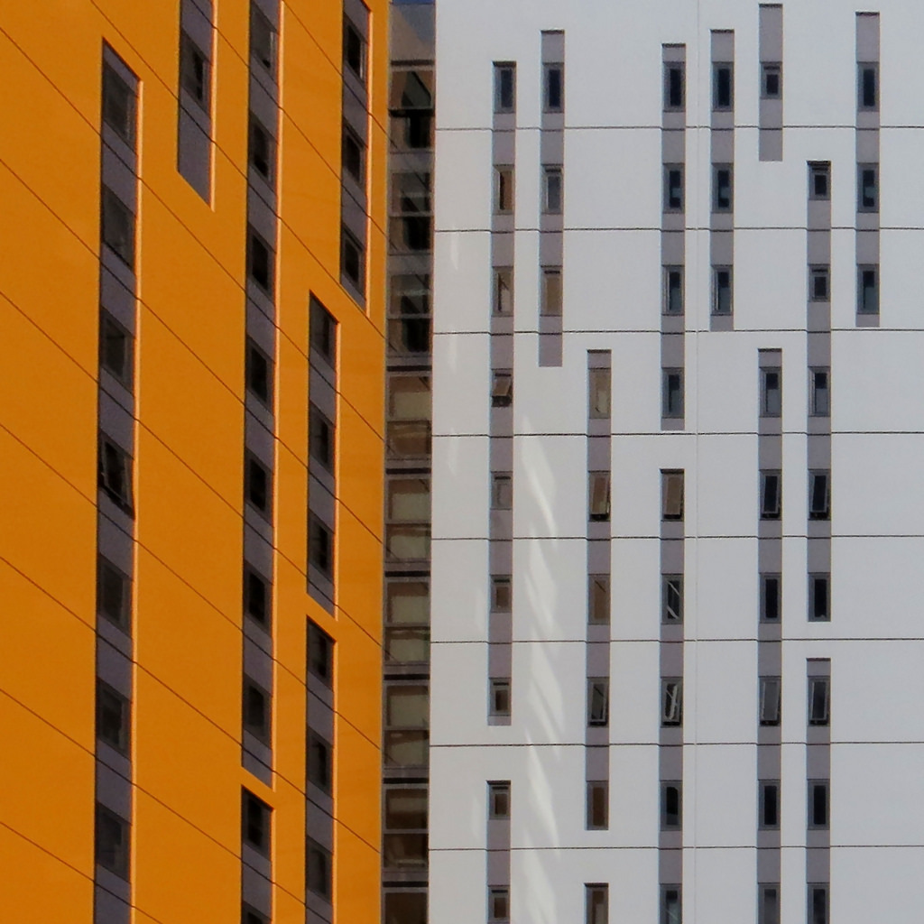 Archillect ID 54022