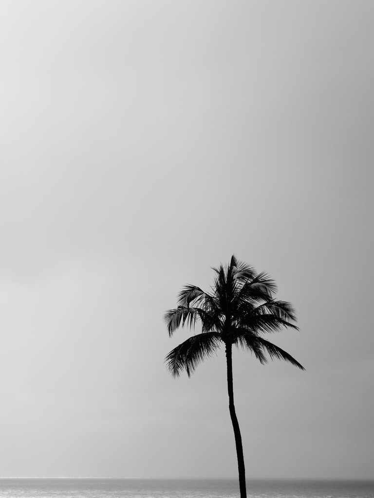 Archillect ID 54027