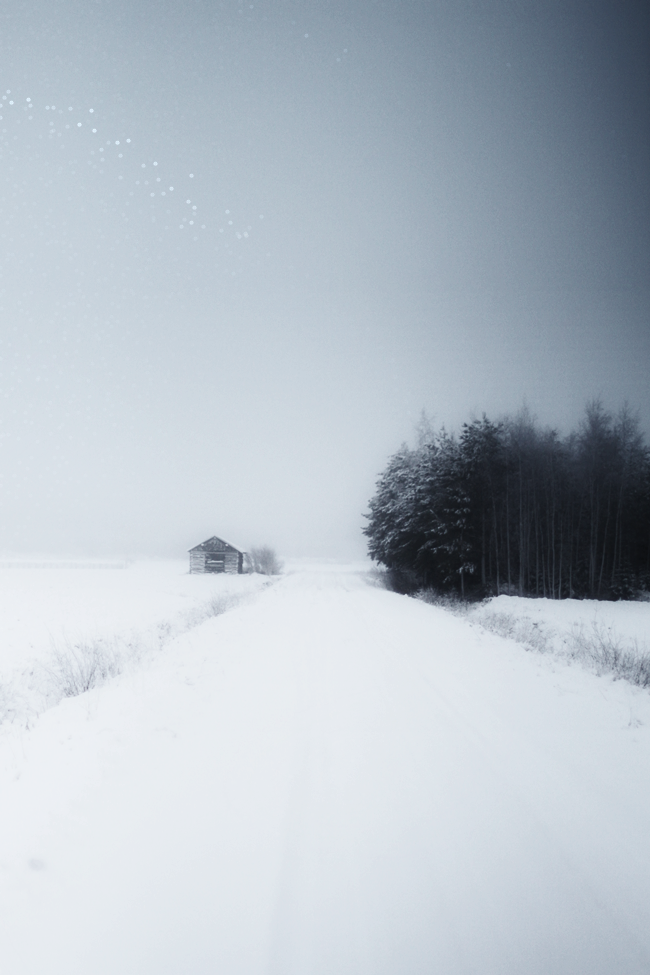 Archillect ID 54034