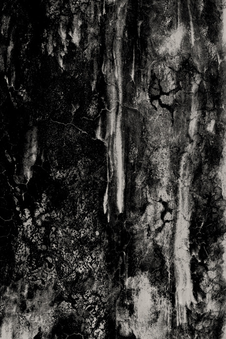 Archillect ID 54058