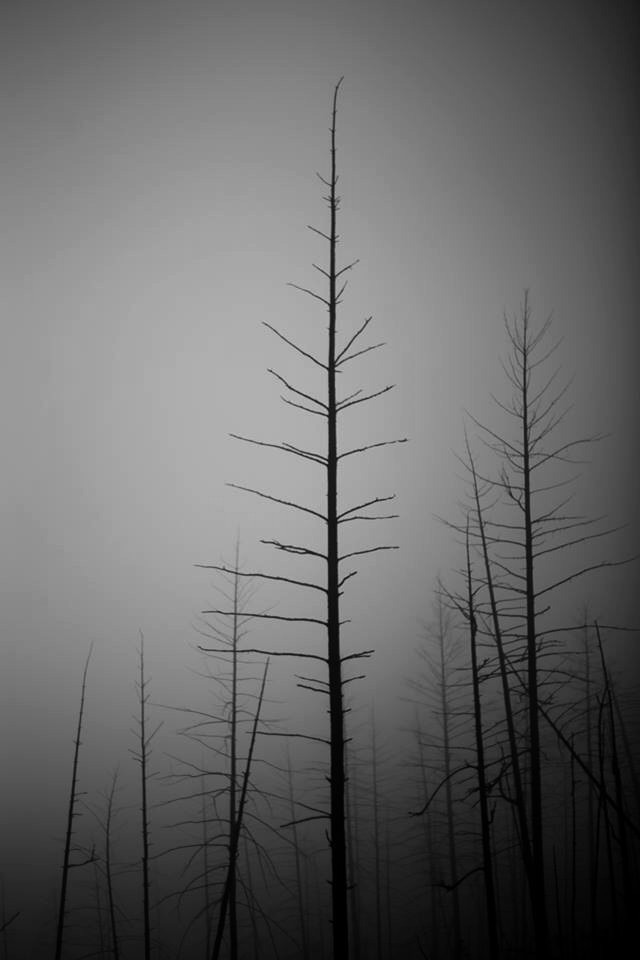 Archillect ID 54126