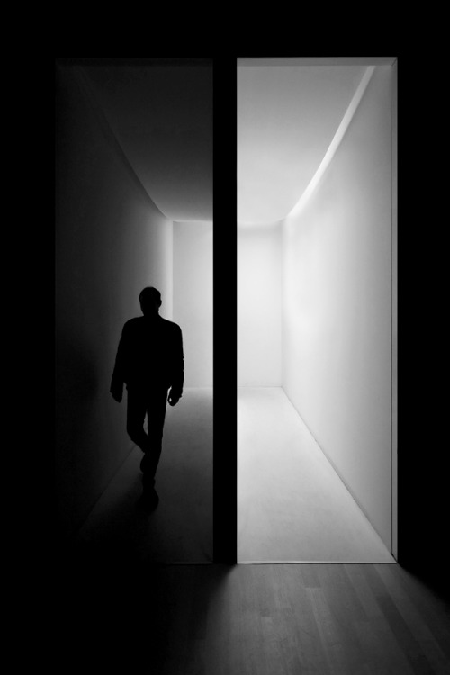 Archillect ID 54137