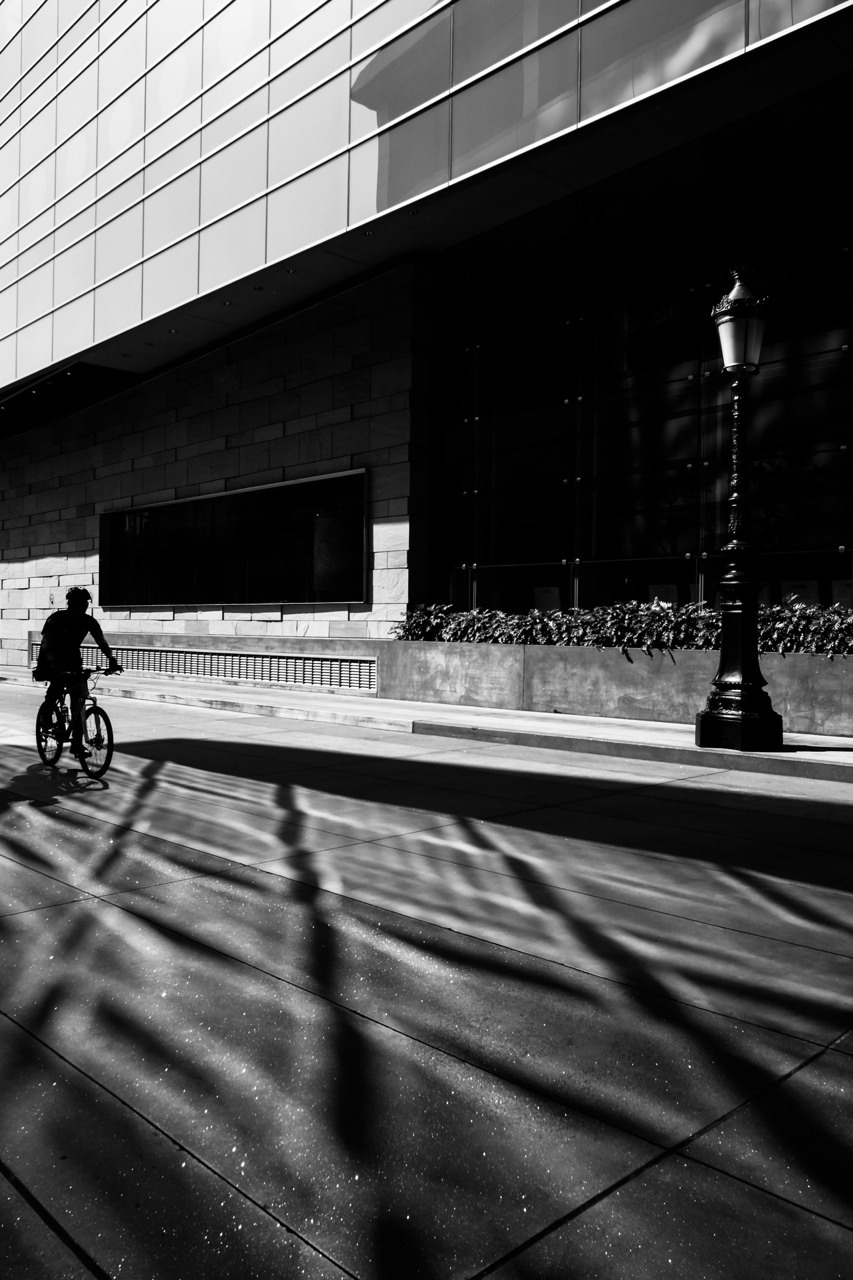 Archillect ID 54370