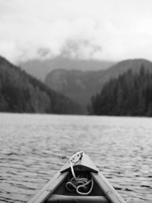 Archillect ID 54381