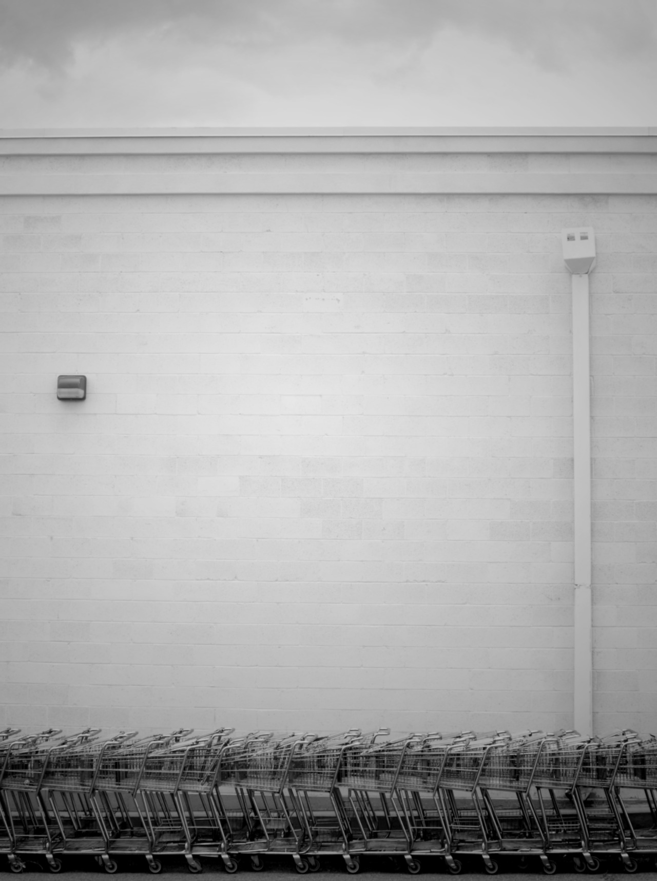 Archillect ID 54455