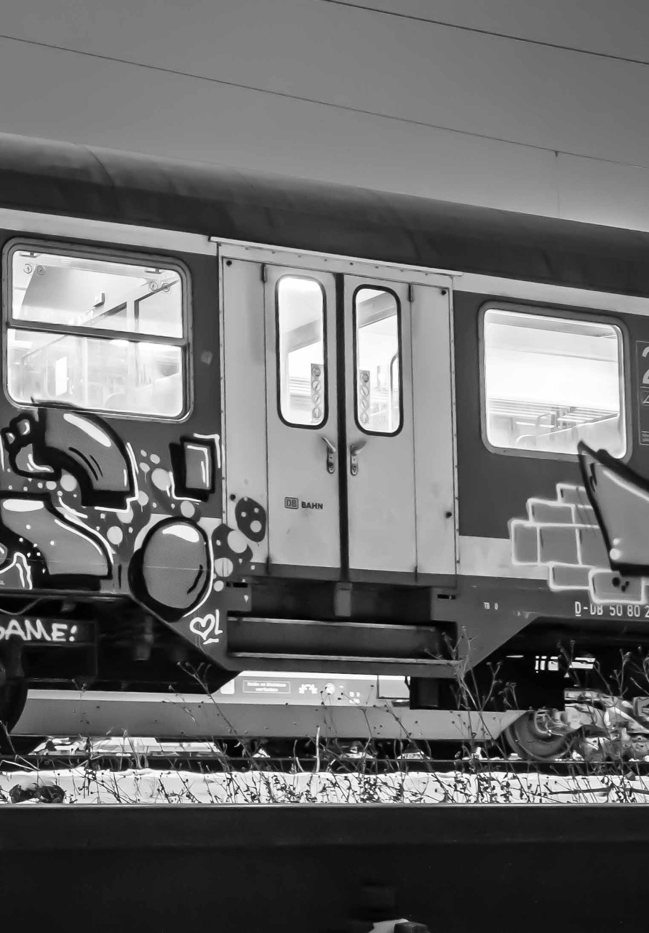 Archillect ID 54637