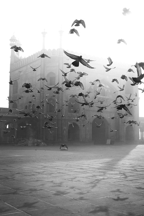 Archillect ID 54647