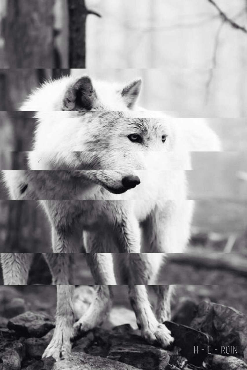 Archillect ID 54648