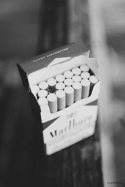 Archillect ID 54672