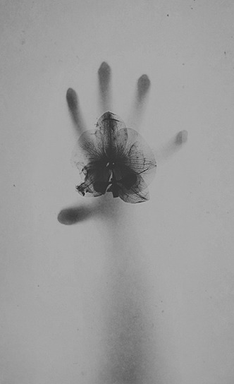 Archillect ID 54675