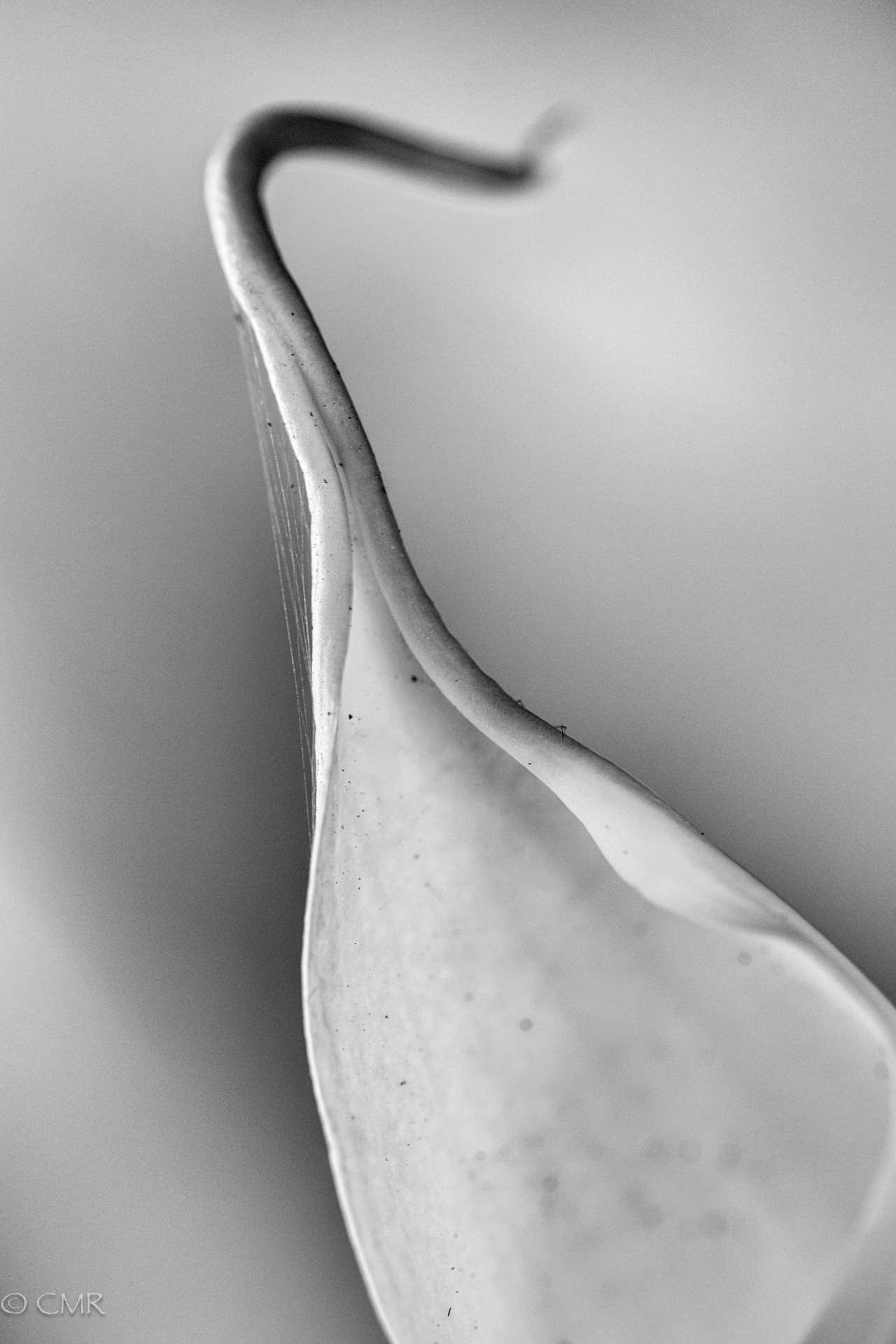 Archillect ID 54749