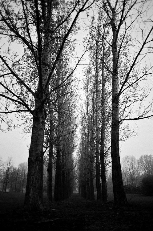 Archillect ID 54765
