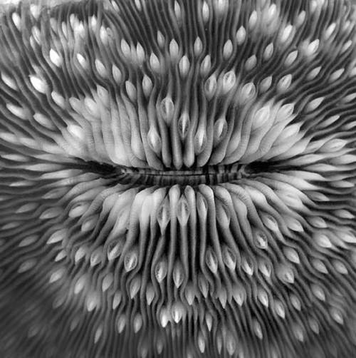 Archillect ID 54775