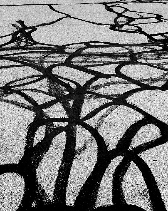 Archillect ID 54790
