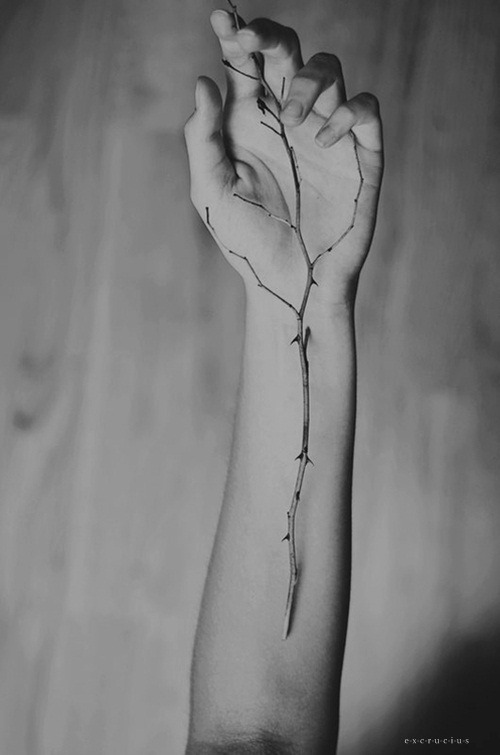 Archillect ID 55209