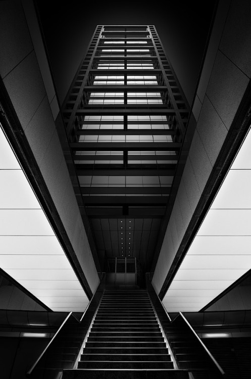 Archillect ID 55265