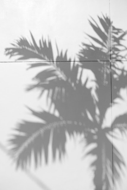 Archillect ID 55279