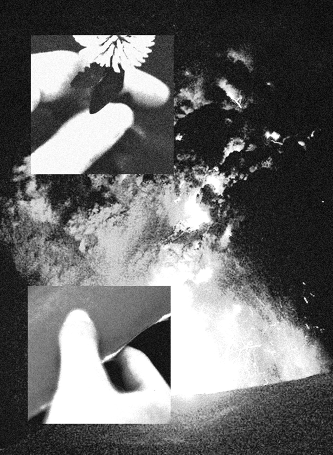 Archillect ID 55300