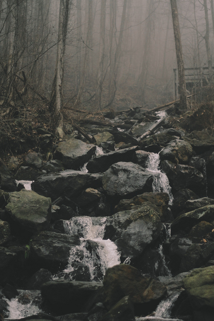 Archillect ID 55304