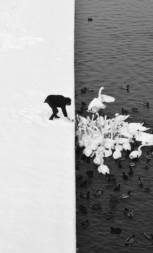 Archillect ID 55327