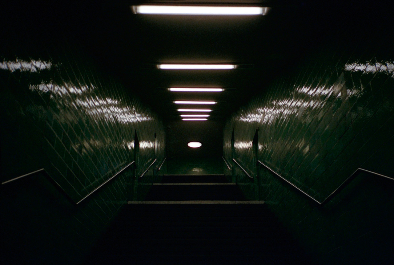 Archillect ID 55331
