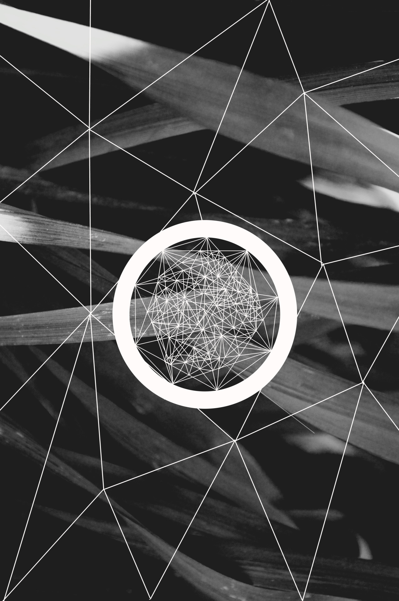 Archillect ID 55342