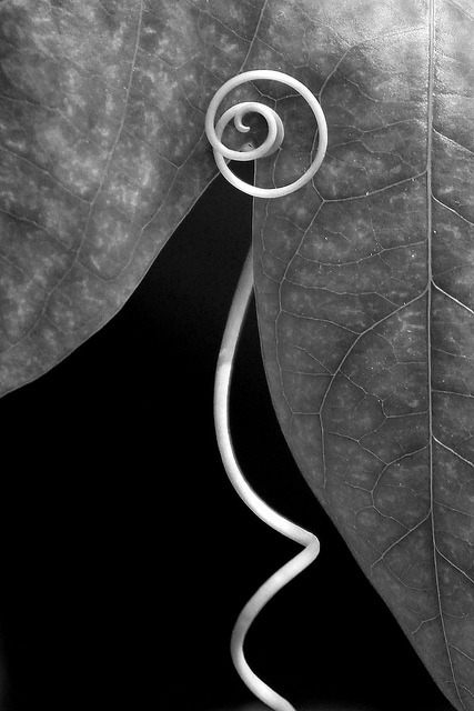 Archillect ID 55392