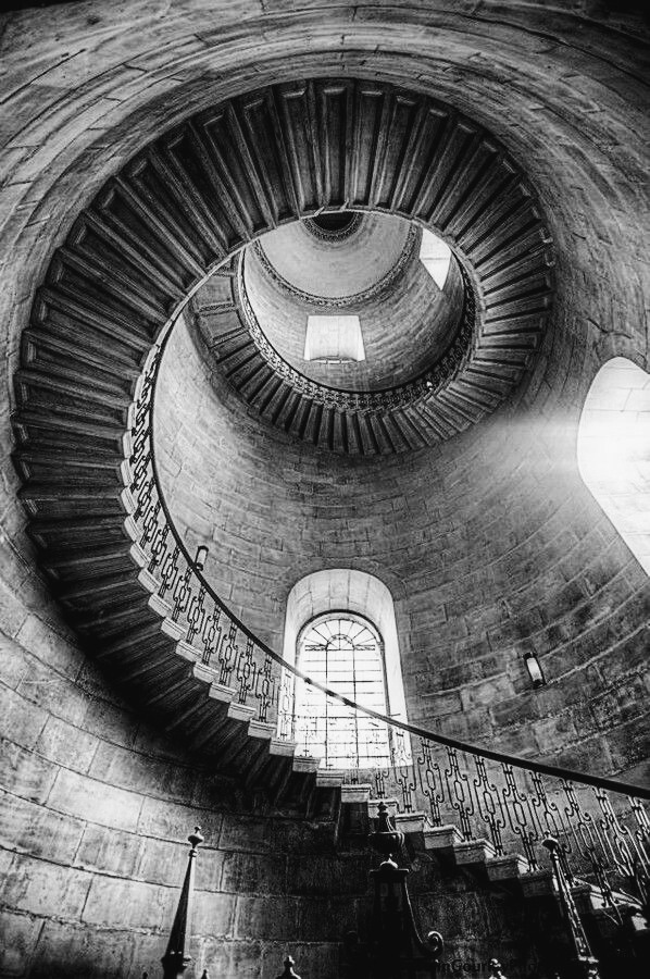 Archillect ID 55498