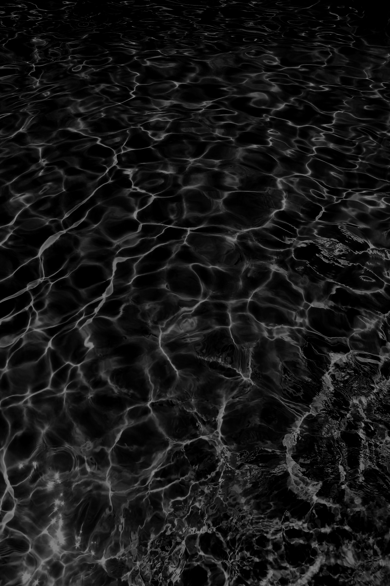 Archillect ID 55521