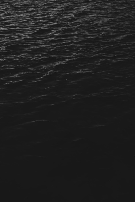 Archillect ID 55583