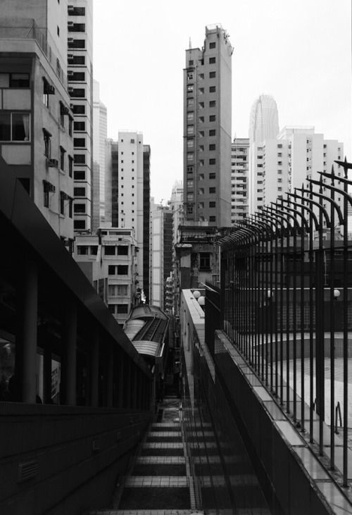 Archillect ID 55602