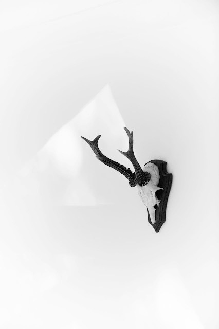 Archillect ID 55625