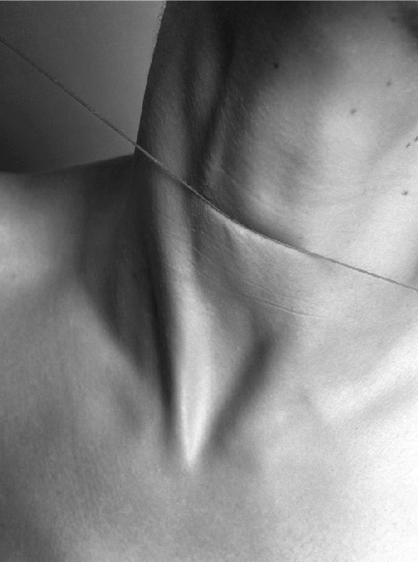 Archillect ID 55676