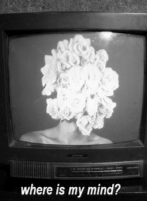 Archillect ID 55696