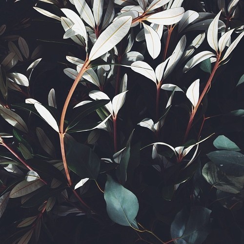 Archillect ID 55734