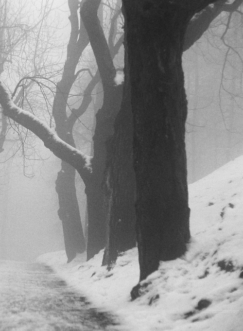 Archillect ID 55740