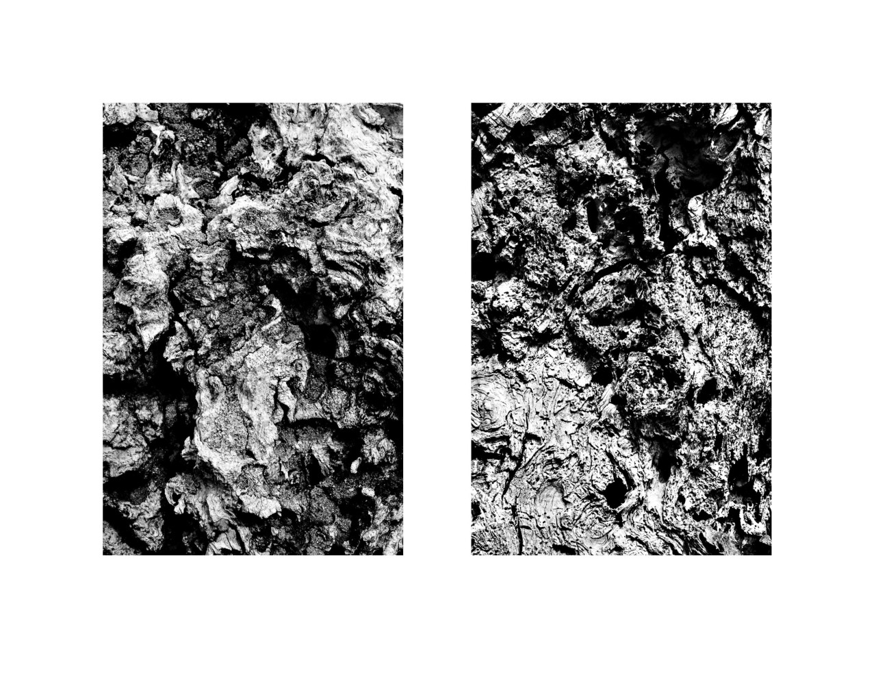 Archillect ID 55817