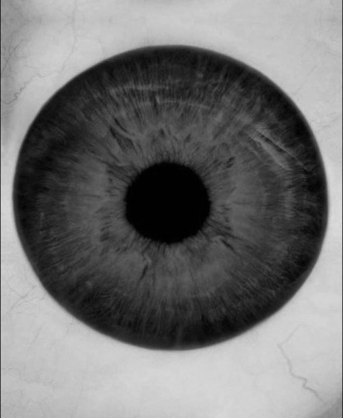 Archillect ID 55839