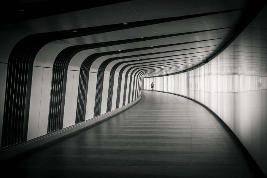 Archillect ID 55935