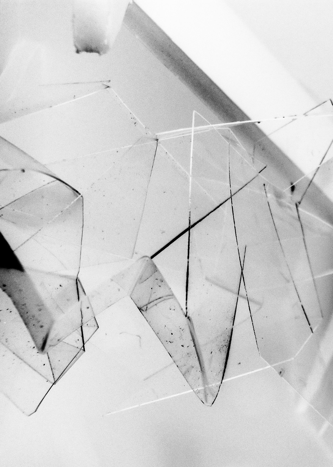 Archillect ID 55995