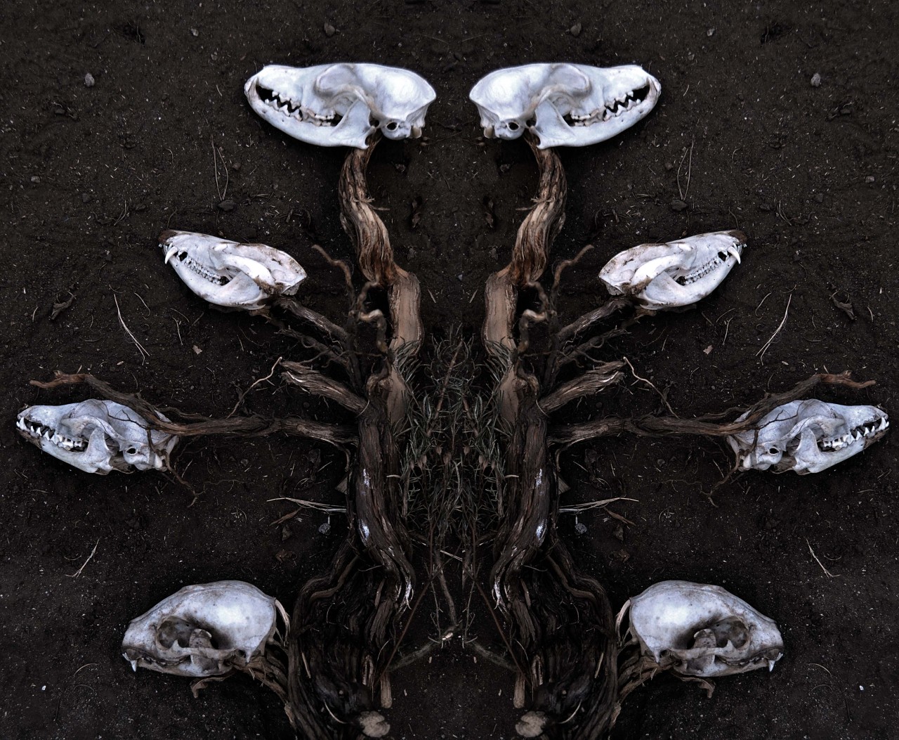 Archillect ID 56010