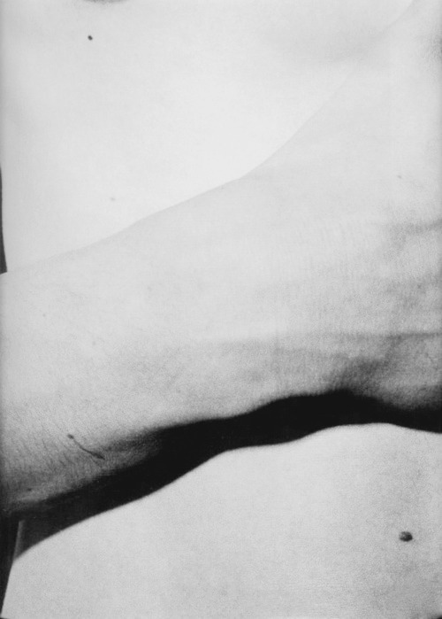 Archillect ID 56037