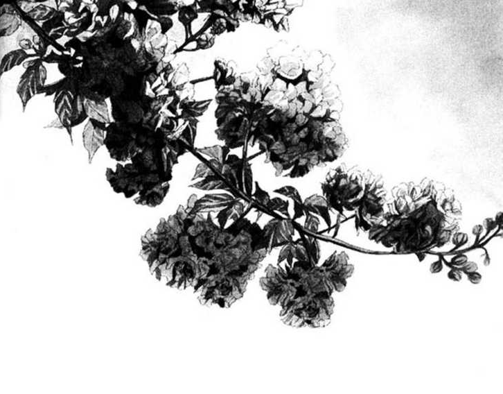 Archillect ID 56092