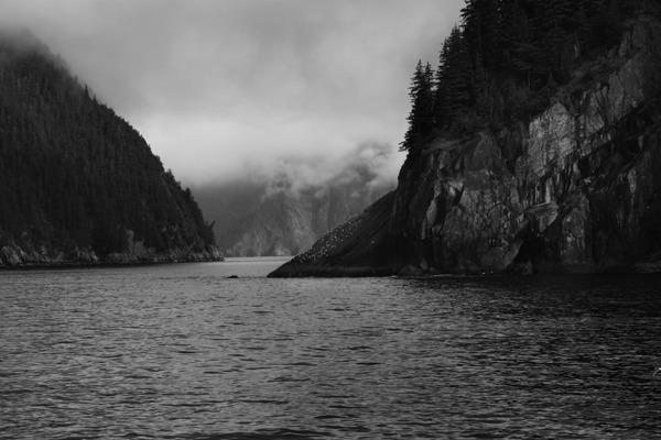 Archillect ID 56135
