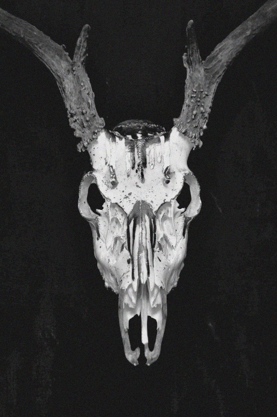 Archillect ID 56162