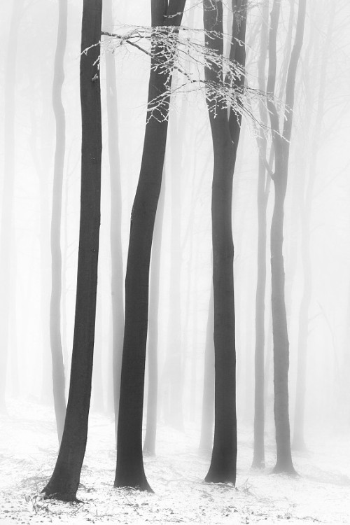 Archillect ID 56219