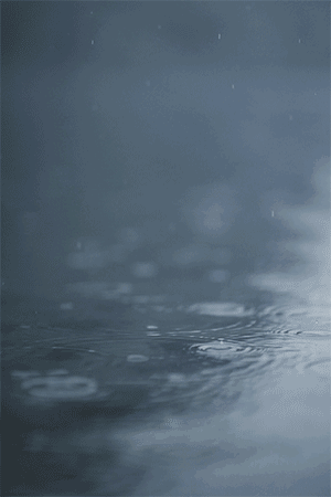 Archillect ID 56243