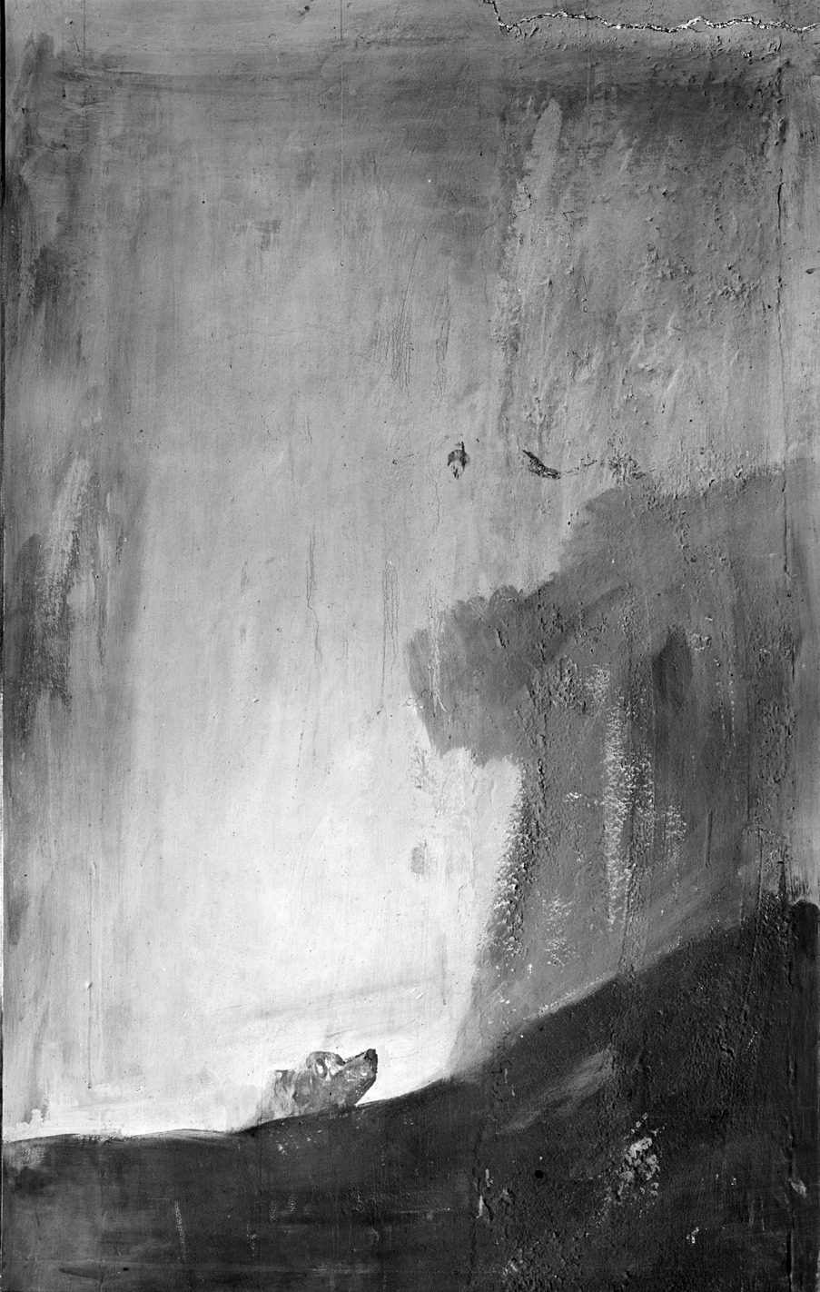 Archillect ID 56346