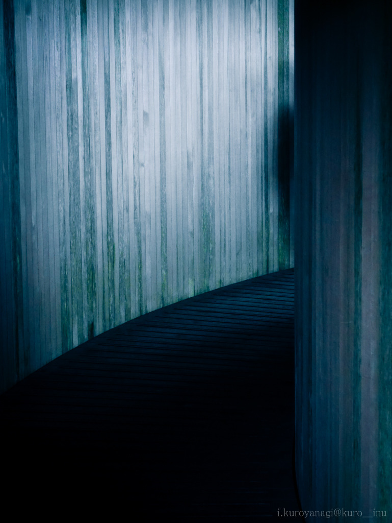 Archillect ID 56356