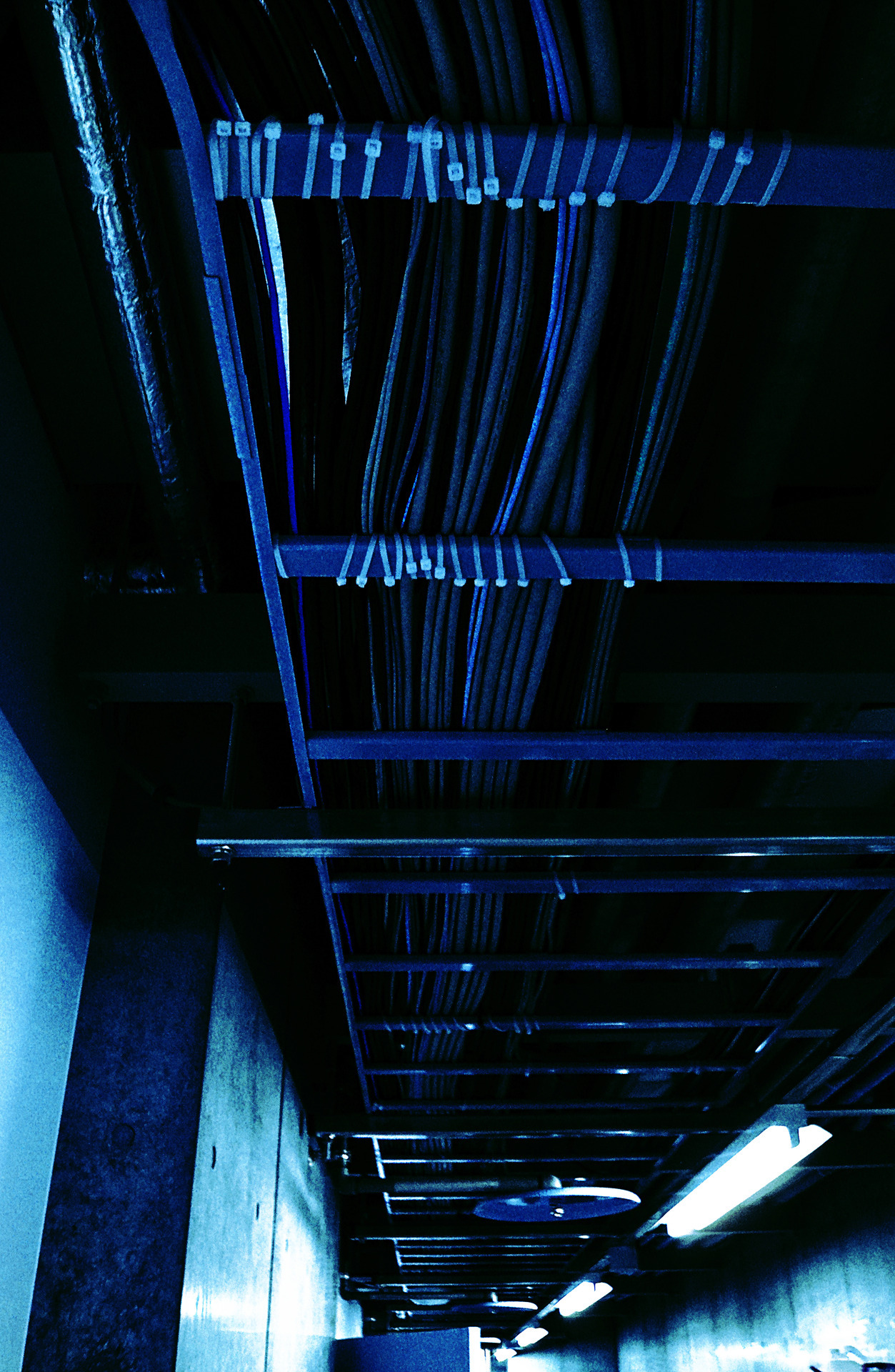 Archillect ID 56376